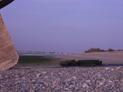 BAIE DE SOMME, BAIE DE SOMME 2011 052