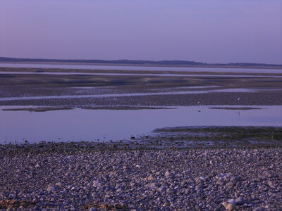 BAIE DE SOMME, BAIE DE SOMME 2011 053