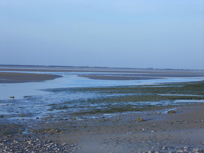 BAIE DE SOMME, BAIE DE SOMME 2011 085