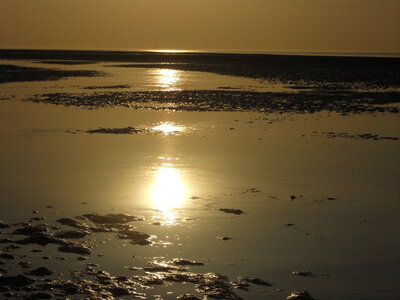 BAIE DE SOMME, BAIE DE SOMME 2011 075