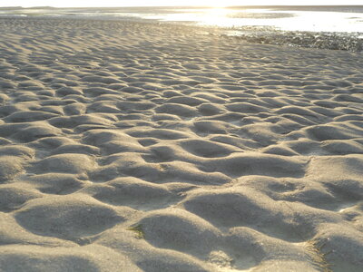 BAIE DE SOMME, BAIE DE SOMME 2011 077
