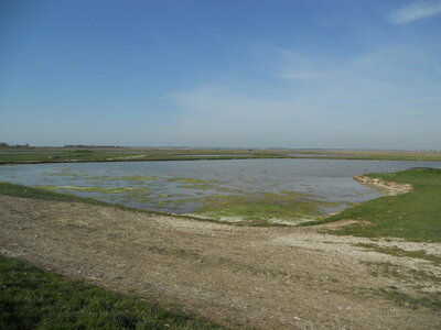 BAIE DE SOMME, BAIE DE SOMME 2011 020