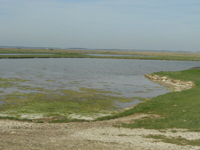 BAIE DE SOMME, BAIE DE SOMME 2011 022