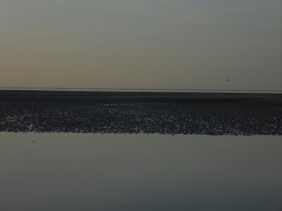 BAIE DE SOMME, BAIE DE SOMME 2011 072