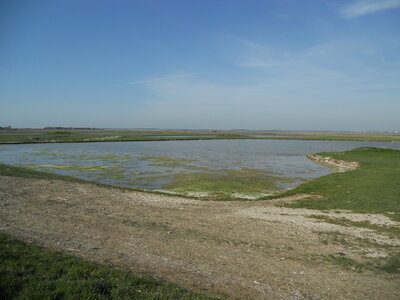 BAIE DE SOMME, BAIE DE SOMME 2011 021