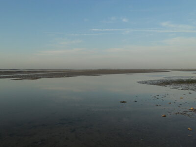 BAIE DE SOMME, BAIE DE SOMME 2011 059