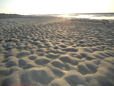 BAIE DE SOMME, BAIE DE SOMME 2011 076