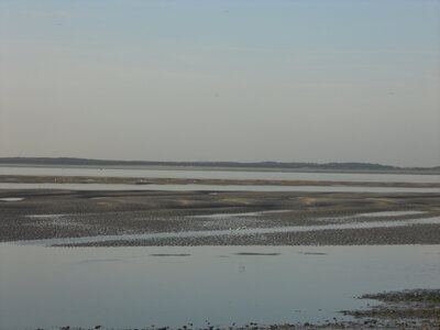 BAIE DE SOMME, BAIE DE SOMME 2011 028