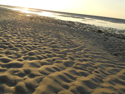 BAIE DE SOMME, BAIE DE SOMME 2011 081