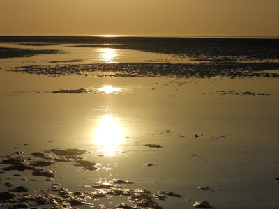 BAIE DE SOMME, BAIE DE SOMME 2011 074