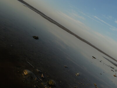 BAIE DE SOMME, BAIE DE SOMME 2011 063