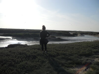 BAIE DE SOMME, BAIE DE SOMME 2011 006