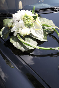 Mariage Victoire et Jérôme, 282