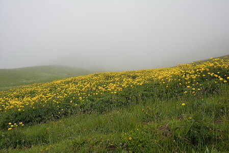 2014 Parpaillon Col de Girabeau, DSC_0020