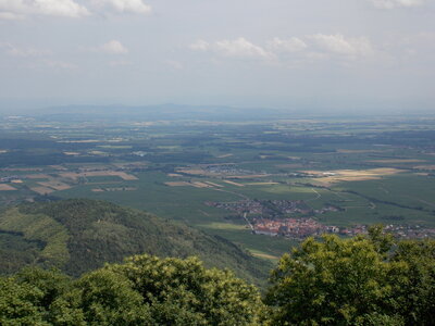 Les châteaux(Le Haut-Koenigsbourg,le Hagueneck(au dessus de Wettolsheim) vue des 3 châteaux depuis Wettolsheim ,Le Wineck(Katzenthal),Le Ulric et le Griesbech(Ribeauvillé)et vue du Haut-ribeaupierre(depuis le Ulric c est le château tout en haut on voit juste un peu sa tour) , DSCN1389
