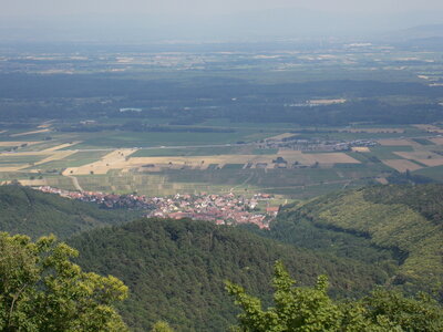 Les châteaux(Le Haut-Koenigsbourg,le Hagueneck(au dessus de Wettolsheim) vue des 3 châteaux depuis Wettolsheim ,Le Wineck(Katzenthal),Le Ulric et le Griesbech(Ribeauvillé)et vue du Haut-ribeaupierre(depuis le Ulric c est le château tout en haut on voit juste un peu sa tour) , DSCN1390