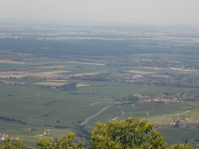 Les châteaux(Le Haut-Koenigsbourg,le Hagueneck(au dessus de Wettolsheim) vue des 3 châteaux depuis Wettolsheim ,Le Wineck(Katzenthal),Le Ulric et le Griesbech(Ribeauvillé)et vue du Haut-ribeaupierre(depuis le Ulric c est le château tout en haut on voit juste un peu sa tour) , DSCN1391