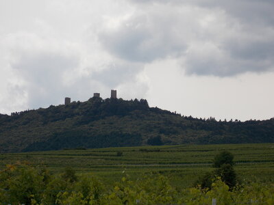 Les châteaux(Le Haut-Koenigsbourg,le Hagueneck(au dessus de Wettolsheim) vue des 3 châteaux depuis Wettolsheim ,Le Wineck(Katzenthal),Le Ulric et le Griesbech(Ribeauvillé)et vue du Haut-ribeaupierre(depuis le Ulric c est le château tout en haut on voit juste un peu sa tour) , DSCN1410