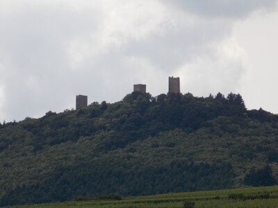 Les châteaux(Le Haut-Koenigsbourg,le Hagueneck(au dessus de Wettolsheim) vue des 3 châteaux depuis Wettolsheim ,Le Wineck(Katzenthal),Le Ulric et le Griesbech(Ribeauvillé)et vue du Haut-ribeaupierre(depuis le Ulric c est le château tout en haut on voit juste un peu sa tour) , DSCN1411