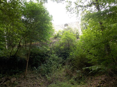 Les châteaux(Le Haut-Koenigsbourg,le Hagueneck(au dessus de Wettolsheim) vue des 3 châteaux depuis Wettolsheim ,Le Wineck(Katzenthal),Le Ulric et le Griesbech(Ribeauvillé)et vue du Haut-ribeaupierre(depuis le Ulric c est le château tout en haut on voit juste un peu sa tour) , DSCN1417