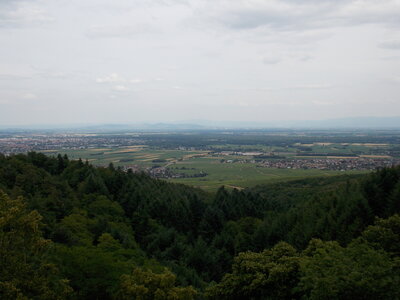 Les châteaux(Le Haut-Koenigsbourg,le Hagueneck(au dessus de Wettolsheim) vue des 3 châteaux depuis Wettolsheim ,Le Wineck(Katzenthal),Le Ulric et le Griesbech(Ribeauvillé)et vue du Haut-ribeaupierre(depuis le Ulric c est le château tout en haut on voit juste un peu sa tour) , DSCN1419