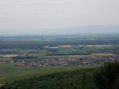 Les châteaux(Le Haut-Koenigsbourg,le Hagueneck(au dessus de Wettolsheim) vue des 3 châteaux depuis Wettolsheim ,Le Wineck(Katzenthal),Le Ulric et le Griesbech(Ribeauvillé)et vue du Haut-ribeaupierre(depuis le Ulric c est le château tout en haut on voit juste un peu sa tour) , DSCN1420