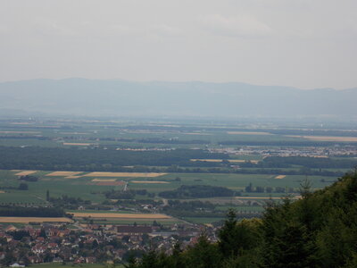 Les châteaux(Le Haut-Koenigsbourg,le Hagueneck(au dessus de Wettolsheim) vue des 3 châteaux depuis Wettolsheim ,Le Wineck(Katzenthal),Le Ulric et le Griesbech(Ribeauvillé)et vue du Haut-ribeaupierre(depuis le Ulric c est le château tout en haut on voit juste un peu sa tour) , DSCN1424