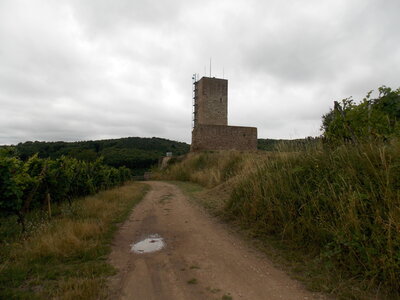 Les châteaux(Le Haut-Koenigsbourg,le Hagueneck(au dessus de Wettolsheim) vue des 3 châteaux depuis Wettolsheim ,Le Wineck(Katzenthal),Le Ulric et le Griesbech(Ribeauvillé)et vue du Haut-ribeaupierre(depuis le Ulric c est le château tout en haut on voit juste un peu sa tour) , DSCN1442