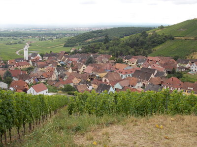 Les châteaux(Le Haut-Koenigsbourg,le Hagueneck(au dessus de Wettolsheim) vue des 3 châteaux depuis Wettolsheim ,Le Wineck(Katzenthal),Le Ulric et le Griesbech(Ribeauvillé)et vue du Haut-ribeaupierre(depuis le Ulric c est le château tout en haut on voit juste un peu sa tour) , DSCN1447