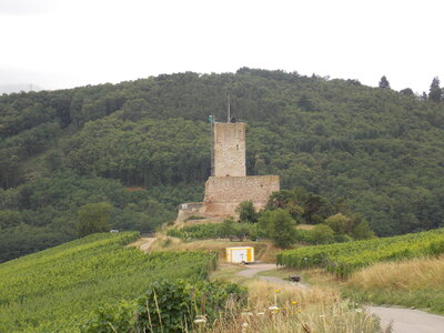 Les châteaux(Le Haut-Koenigsbourg,le Hagueneck(au dessus de Wettolsheim) vue des 3 châteaux depuis Wettolsheim ,Le Wineck(Katzenthal),Le Ulric et le Griesbech(Ribeauvillé)et vue du Haut-ribeaupierre(depuis le Ulric c est le château tout en haut on voit juste un peu sa tour) , DSCN1450