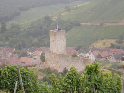 Les châteaux(Le Haut-Koenigsbourg,le Hagueneck(au dessus de Wettolsheim) vue des 3 châteaux depuis Wettolsheim ,Le Wineck(Katzenthal),Le Ulric et le Griesbech(Ribeauvillé)et vue du Haut-ribeaupierre(depuis le Ulric c est le château tout en haut on voit juste un peu sa tour) , DSCN1452-001