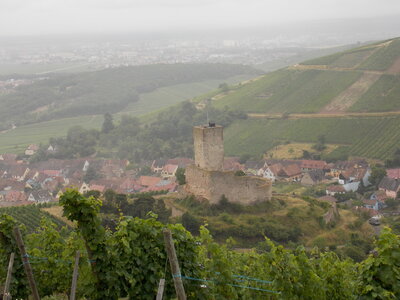 Les châteaux(Le Haut-Koenigsbourg,le Hagueneck(au dessus de Wettolsheim) vue des 3 châteaux depuis Wettolsheim ,Le Wineck(Katzenthal),Le Ulric et le Griesbech(Ribeauvillé)et vue du Haut-ribeaupierre(depuis le Ulric c est le château tout en haut on voit juste un peu sa tour) , DSCN1453