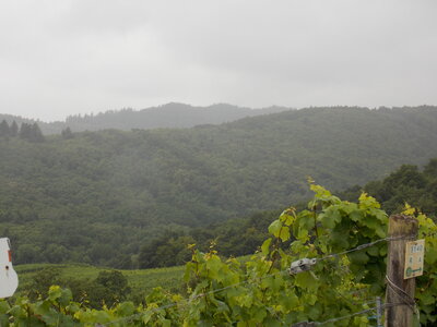 Les châteaux(Le Haut-Koenigsbourg,le Hagueneck(au dessus de Wettolsheim) vue des 3 châteaux depuis Wettolsheim ,Le Wineck(Katzenthal),Le Ulric et le Griesbech(Ribeauvillé)et vue du Haut-ribeaupierre(depuis le Ulric c est le château tout en haut on voit juste un peu sa tour) , DSCN1454