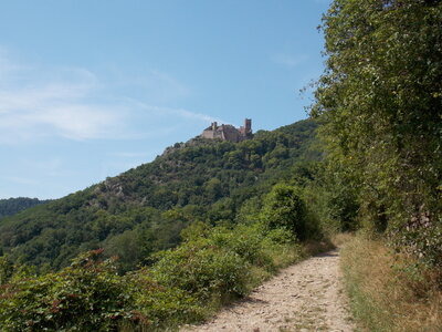 Les châteaux(Le Haut-Koenigsbourg,le Hagueneck(au dessus de Wettolsheim) vue des 3 châteaux depuis Wettolsheim ,Le Wineck(Katzenthal),Le Ulric et le Griesbech(Ribeauvillé)et vue du Haut-ribeaupierre(depuis le Ulric c est le château tout en haut on voit juste un peu sa tour) , DSCN1460