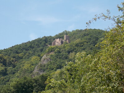 Les châteaux(Le Haut-Koenigsbourg,le Hagueneck(au dessus de Wettolsheim) vue des 3 châteaux depuis Wettolsheim ,Le Wineck(Katzenthal),Le Ulric et le Griesbech(Ribeauvillé)et vue du Haut-ribeaupierre(depuis le Ulric c est le château tout en haut on voit juste un peu sa tour) , DSCN1467