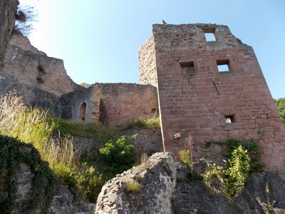 Les châteaux(Le Haut-Koenigsbourg,le Hagueneck(au dessus de Wettolsheim) vue des 3 châteaux depuis Wettolsheim ,Le Wineck(Katzenthal),Le Ulric et le Griesbech(Ribeauvillé)et vue du Haut-ribeaupierre(depuis le Ulric c est le château tout en haut on voit juste un peu sa tour) , DSCN1489