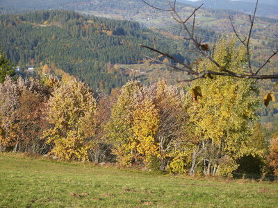 Hauteur d'aubure et Col  Oberlauchen et route des crêtes, Alsace 045