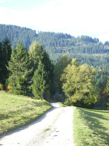Hauteur d'aubure et Col  Oberlauchen et route des crêtes, Alsace 046