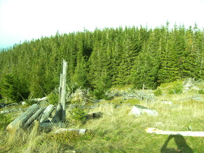 Hauteur d'aubure et Col  Oberlauchen et route des crêtes, Alsace 052