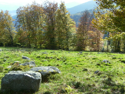 Hauteur d'aubure et Col  Oberlauchen et route des crêtes, 