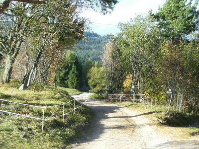 Hauteur d'aubure et Col  Oberlauchen et route des crêtes, 