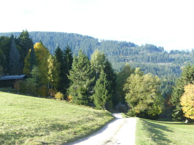 Hauteur d'aubure et Col  Oberlauchen et route des crêtes, 