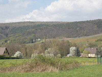 Marche populaire de Soultz(Haut-Rhin), DSCN0694