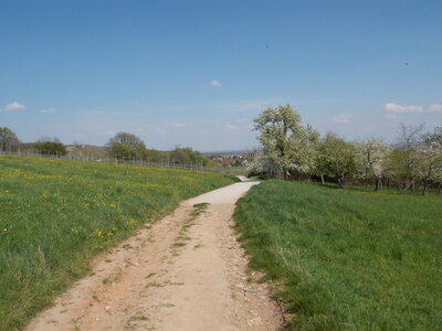Marche populaire de Soultz(Haut-Rhin), DSCN0697