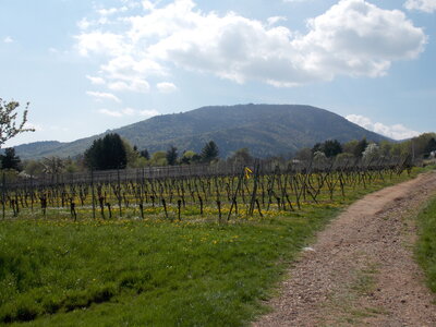 Marche populaire de Soultz(Haut-Rhin), DSCN0699