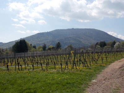 Marche populaire de Soultz(Haut-Rhin), DSCN0700