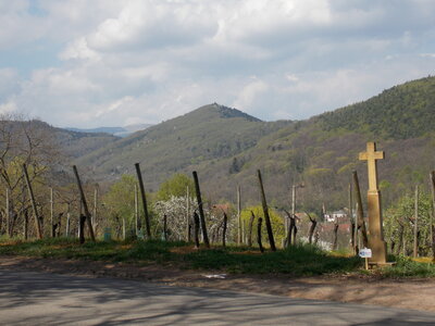 Marche populaire de Soultz(Haut-Rhin), DSCN0701