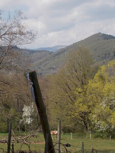 Marche populaire de Soultz(Haut-Rhin), DSCN0705