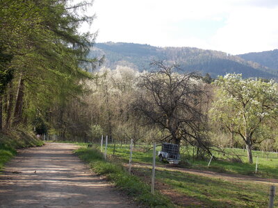 Marche populaire de Soultz(Haut-Rhin), DSCN0706