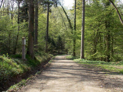 Marche populaire de Soultz(Haut-Rhin), DSCN0709